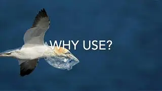 Green Business Series #3 - Recycling, The Basic Strategy of Waste Reduction, 1/27/21