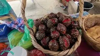 TECHALUTA!! PITAYAS Y GUAMUCHILES!! LO QUE NO TE CUENTAN DE ESTE PUEBLO!
