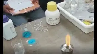 National Science Day Activity | BIRLA SCHOOL, PILANI