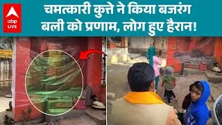 UP News: बजरंग बली के सामने कुत्ते ने किया प्रणाम, देख लोग दंग रह गए! |ABPLIVE