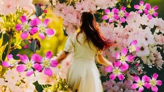 Calm your mind with relaxing music/Top quotes of all time / Beauty of Nature #relaxation