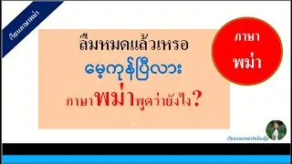 ลืมหมดแล้วเหรอ= မေ့ကုန်ပြီလား(พาพูดพม่า)