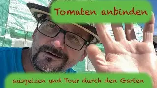 Tomaten anbinden und ausgeizen, Tipps und kleiner Rundgang im Mai 24