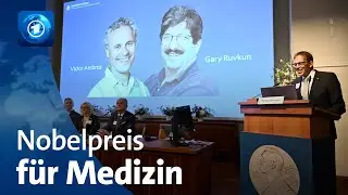 Entdecker der microRNAs: Zwei US-Genforscher erhalten Medizin-Nobelpreis