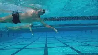 Online Swim Stroke Analysis of Desert Dude
