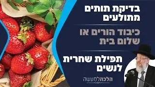 בדיקת תותים מתולעים | כיבוד הורים או שלום בית | תפילת שחרית לנשים - הלכה למעשה עם הרב ירון אשכנזי