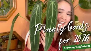 Planty Resolutions for 2026: focus plants and growing goals