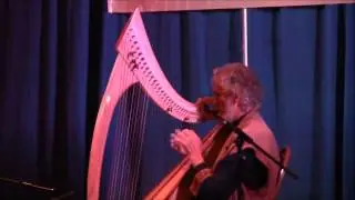 Chris Caswell at Somerset Harp Festival 2012
