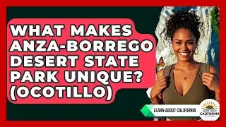 What Makes Anza-Borrego Desert State Park Unique? (Ocotillo) - Learn About California