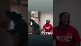 Dog Sings a Beautiful Ballad