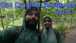 Turramurra to Bobbin Head via Gibberagong Track | Ku Ring Gai Chase National Park [4K]