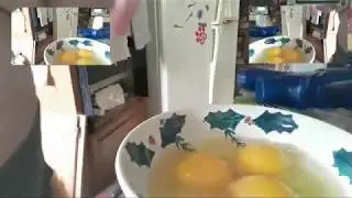 Yolk II