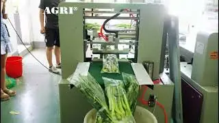 Vegetable Iceberg Lettuce Eggplant Packing Machine