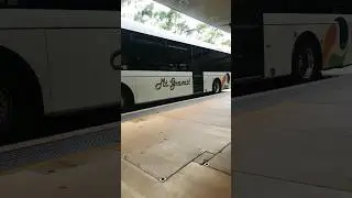 Griffith University Bus stop Nathan Campus.