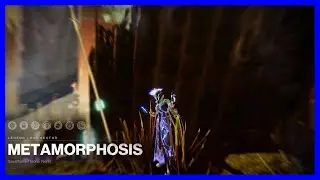 Solo LEGEND Lost sector - Metamorphosis - because I'm Terrible at this game! 3/13/2022