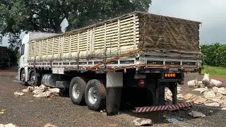CARREGANDO LARANJA A GRANEL NA ROÇA 🍊😍