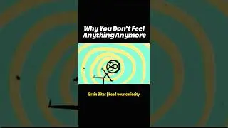 Why life feels boring#psychology #facts #growth #mentalhealth #mindset #foryou #selfimprovement