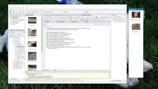 WhisperReporter v2 feature: Docking layouts