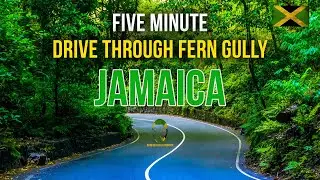 FERN GULLY JAMAICA (DRIVE THROUGH🚗🚗)
