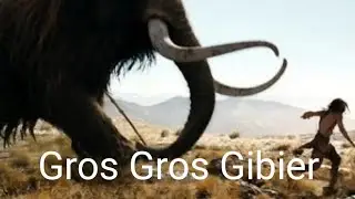chasser cuire manger en for&ecirc;t (gros gibier