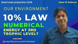 10% Law Numericals | Energy Flow in Food Chain | Our Environment Class 10 | Board 2026