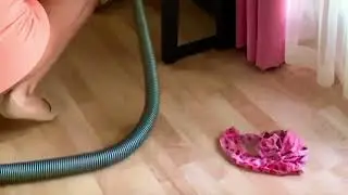 Vacuuming up my underwear￼