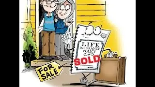 Your Money And Your Life Insurance