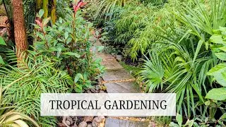 139. B&M Plants, Autumn Prep & A Garden Failure