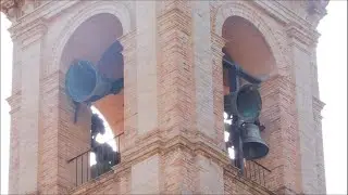 Campane di Ostra (AN) - santuario della Madonna della Rosa, distesa festiva