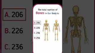 No of bones in human body #shorts #trending #status