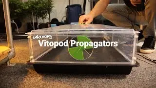 Vitopod Propagator - Unboxing