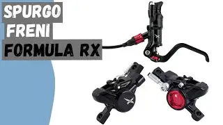 Spurgo Freno Posteriore Formula RX