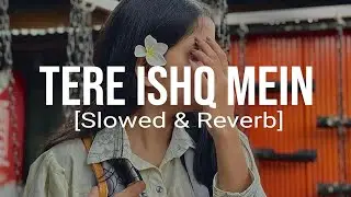 [TERE ISHQ MEIN] | LOFI HINDI / BHOJPURI SONG | RELAX / STUDY / NIGHT VIBE #HEART TOUCHING LOFI#LOFI