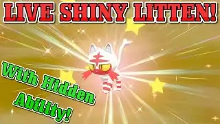 LIVE SHINY LITTEN in Pokemon Sword & Shield After Only 160 Eggs!