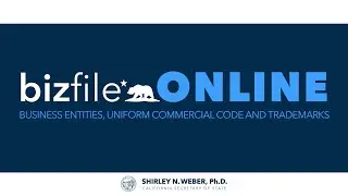 bizfile Online - Introduction