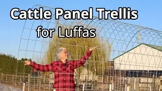 Trellis Time! Building a Luffa Trellis & Other Homestead Must-Dos