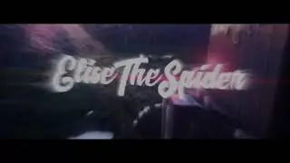 Elise The Spider Montage 2020