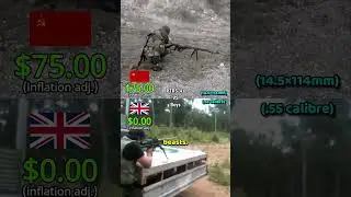 PTRS-41 VS Boys .55 cost per round comparison 😯 #shorts #boys #ww2