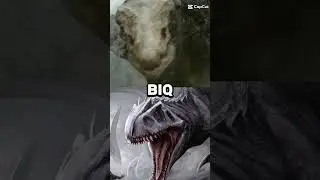 SKULL DEVIL VS INDOMINIS ADULTA