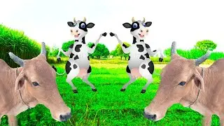 Funny Cow Dance | Cow Sound Song | Cow Videos for Watching