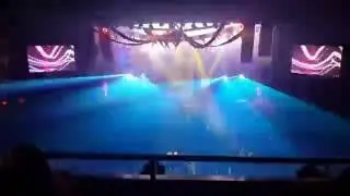 2016 Fetish & Fantasy Halloween Ball (3)