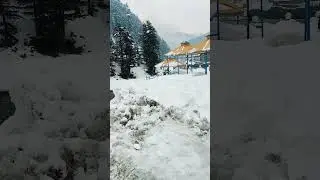 snowfall❄️🌨️ #snowfall #serene #peace #shorts