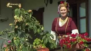 Величка Златева - Марино ле, Маринчице