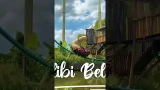 walibi belgium