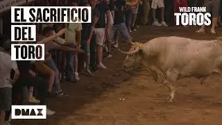 Wild Frank y el sacrificio del toro de Coria | Wild Frank