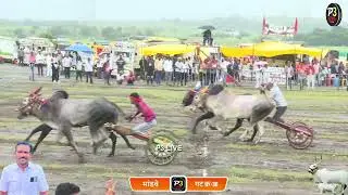 गोमाता केसरी मांडवे गट क्रमांक-36