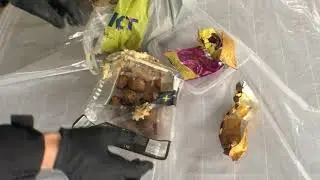 Porvoon Gammelbackassa sy&ouml;d&auml;&auml;n roskaruokaa