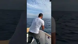 Monster AMBERJACK - 28kg Catch with Live MULLET!