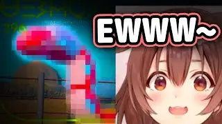 Korone's Reaction To This New Pokemon Is Hilarious【Hololive】