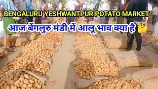 20/01/2026 Bengaluru Yashwantpur Potato Mandi Rate आज आलू क्या भाव बिक रहा है ? #potato #aalu #mandi